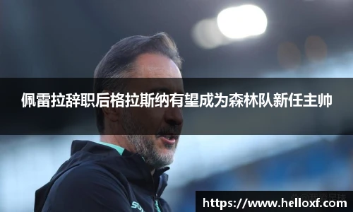 篮球直播